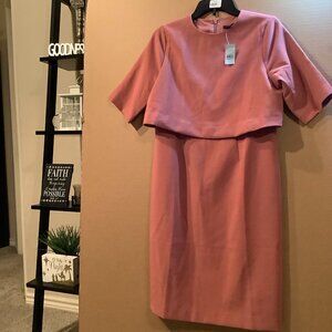 NWT Ann Taylor Elbow Sleeve Overlay Sheath Dress Rose Pink Crosshatch 